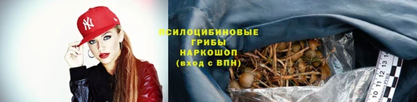 прущая мука Покачи