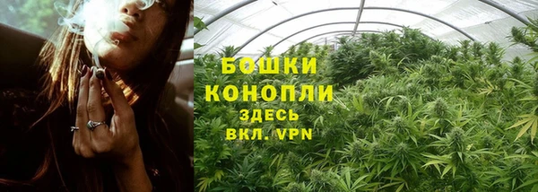 стаф Покровск